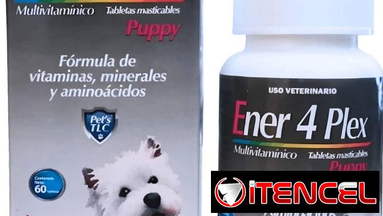 Multivitaminas Ener 4 Plex