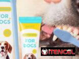 Kits dentales de mascotas