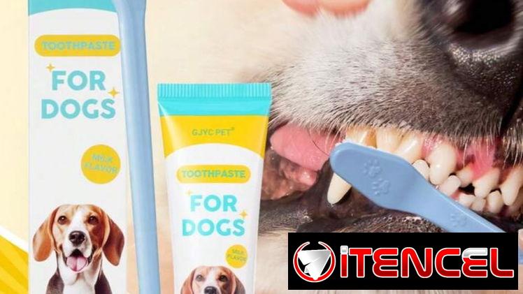 Kits dentales de mascotas
