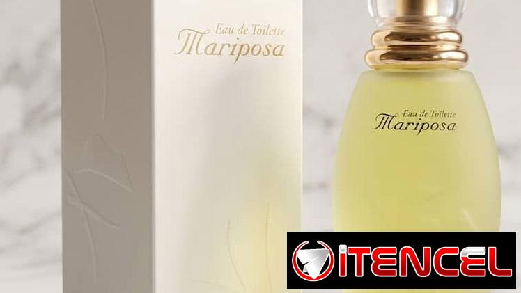 ___Perfume Mariposa Clásico *Original y en caja* 100ml