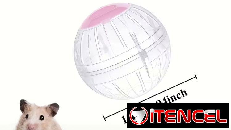 Bolas de hámster