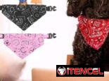 Tienda de artículos para mascotas.