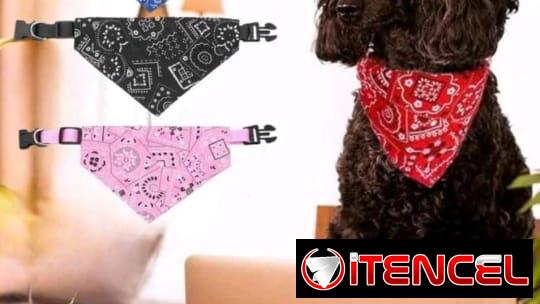 Tienda de artículos para mascotas.