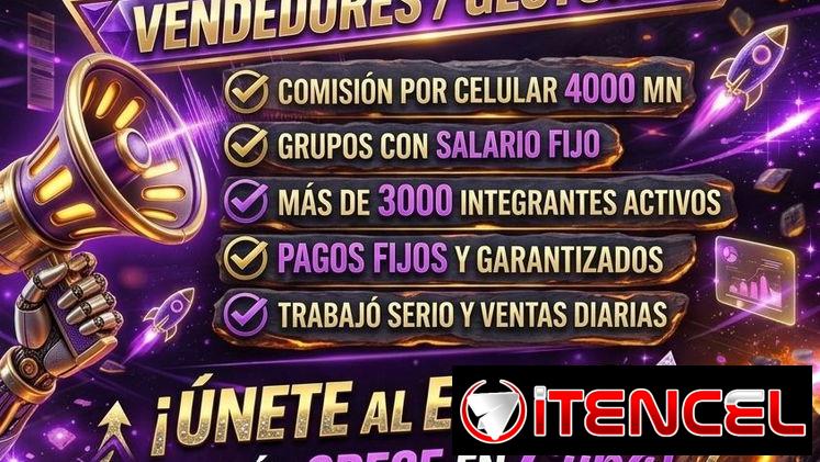 GESTORES DE VENTA PARA CELULARES Y ZAPATOS