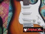 Guitarra eléctrica Academy