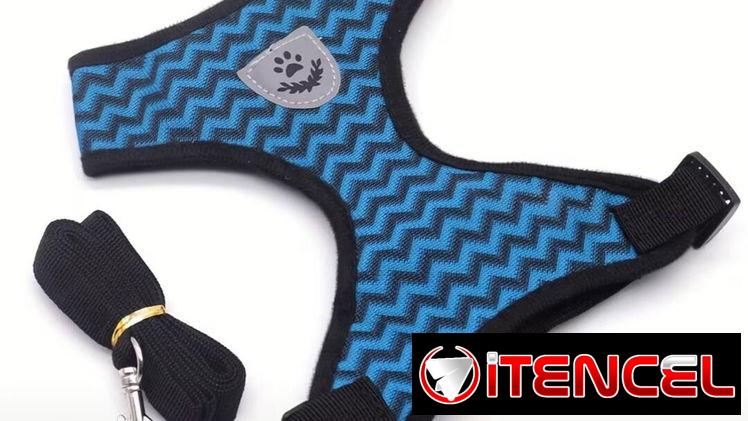 correas con pecheras
