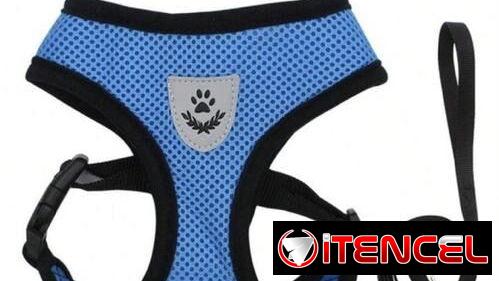 Artículos para perros