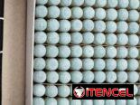 💲1 USD PUNTAS DE TACO DE TODAS LAS MEDIDAS.  11mm ,12mm ,13mm   Formas de pago💱en USD,EUR,MN,Zelle  Contactar📞 o escr