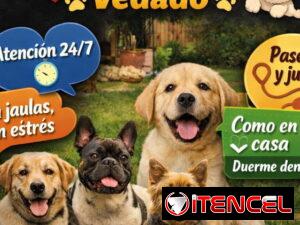 6fb0b9f18aaad086484088609311714bd4d6bc8949b48e5c7e45e3ec4a2b5f26