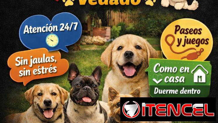✨️CONFORT RENTALS ✨️ ‼️El arte de hospedarte bien ‼️ 🐩 Guardería Canina en el Vedado 🐕
