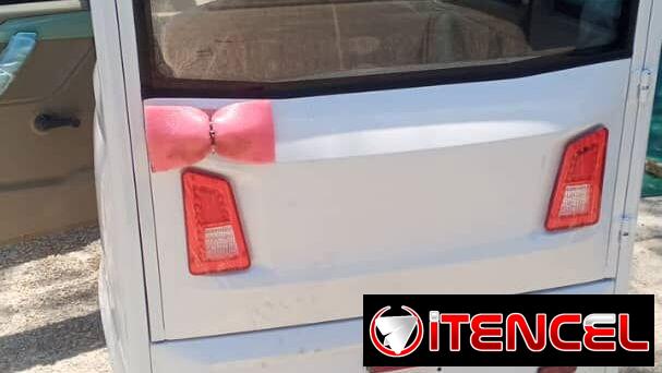 Carro eléctrico
