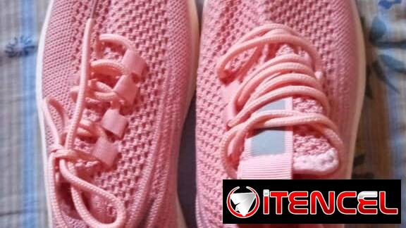 Tenis