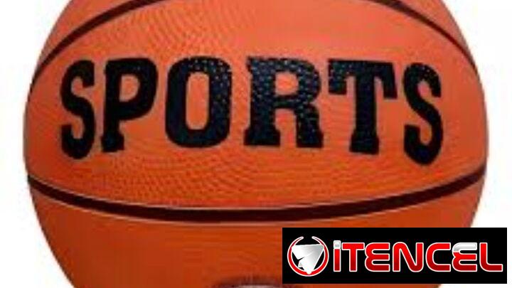 Pelota Basket