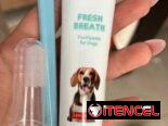 Kits dentales de mascotas