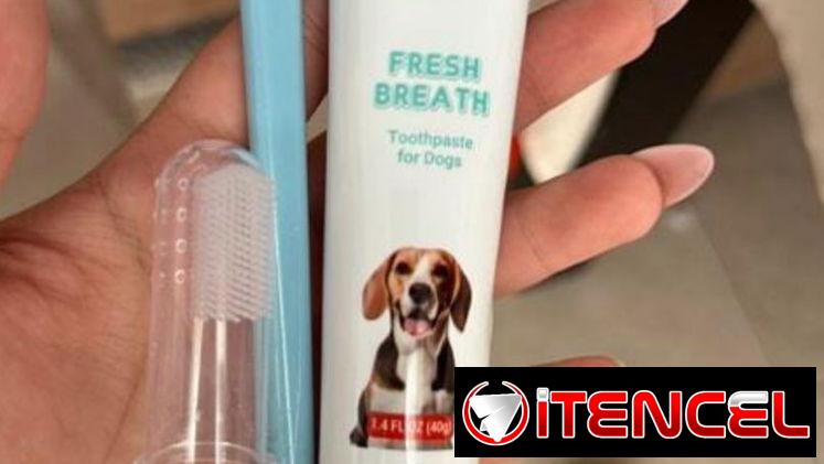 Kits dentales de mascotas
