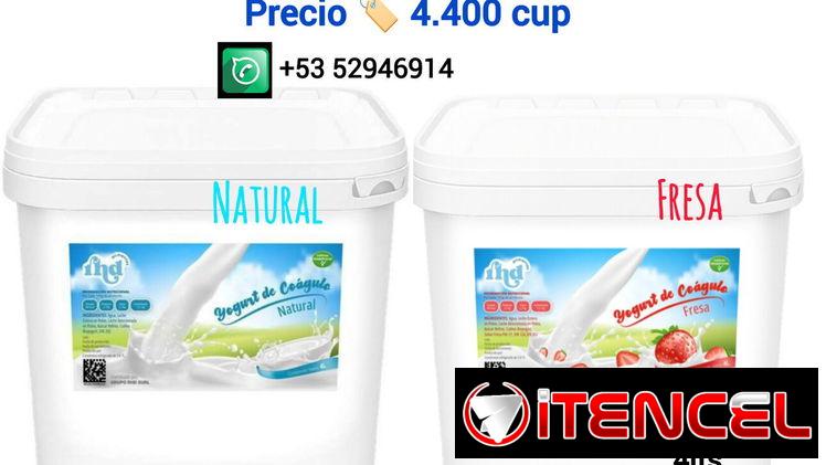 YOGURT PROBIÓTICO cubeta de 4lts