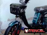 MISHOZUKI GRILLO DE 60 AH