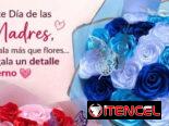 Flores Eternas para mama +53 55840572