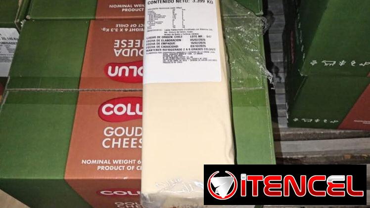 Queso guoda