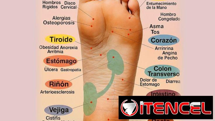 Masajes con Meli