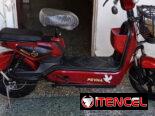 PATINETAS ELÉCTRICAS MARCA PRYNA 0km