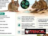 💥Veneno Raticida altamente efectivo💯👌