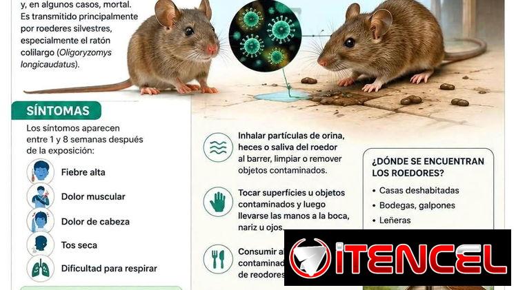 💥Veneno Raticida altamente efectivo💯👌