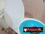 Asiento portátil para inodoro para bebés
