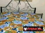 Camas de Tubo listas