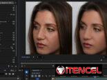🟧 PORTRAITURE PARA VIDEO (PREMIER, DAVINCI RESOLVE STUDIO Y AFTER EFFECTS) (IMAGENOMIC VIDEO) – #Eventos