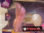 Muñeca Barbie de la Bella durmiente con coche y caballo
