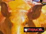 Comida criolla a domicilio