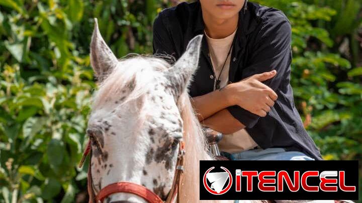 Sesiones de Fotografía con Caballos
