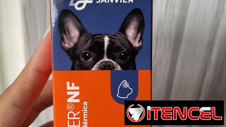 Otovier