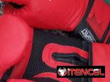 Guantes De Boxeo Everlast