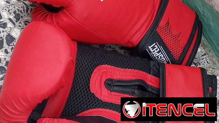 Guantes De Boxeo Everlast