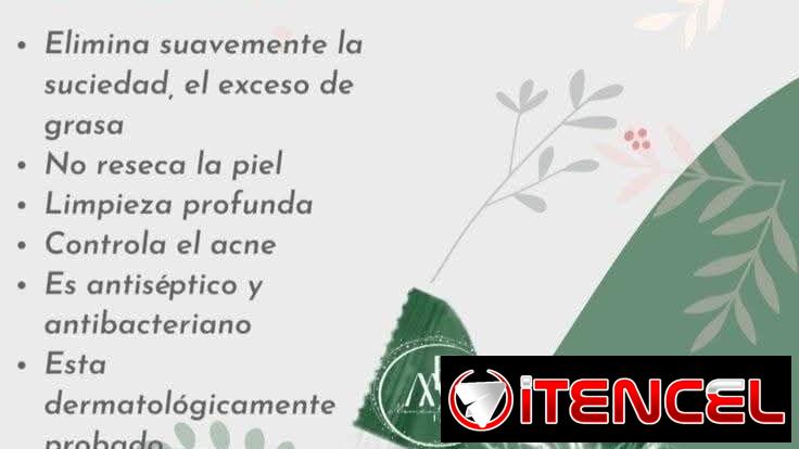 🍃 JABÓN TEA TREE FARMASI (ORGÁNICO) – CONTROL ACNÉ Y GRASA 🍃