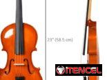 Violín