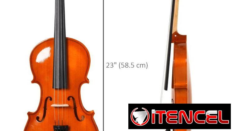 Violín