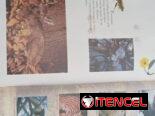 Libros para niños