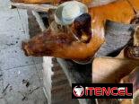 Comida a domicilio