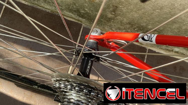 Bicicleta de ruta de catálogo‼️