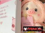 ✨🧸 DETALLES QUE ENAMORAN A PRIMERA VISTA
