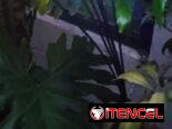 Lámparas recargables solares de jardin