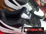 Tenis