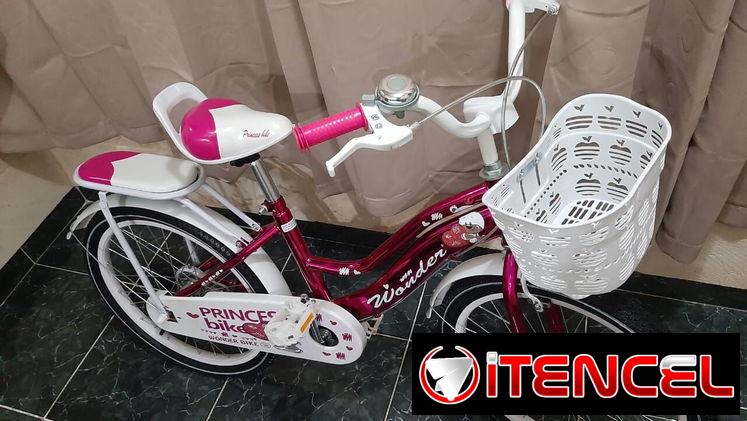 Bicicletas medida 20 para las niñas