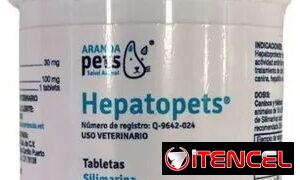 761b06849035b797f1edd314fe0a757078a0b1dcaff10687c769a8ed79d406ff
