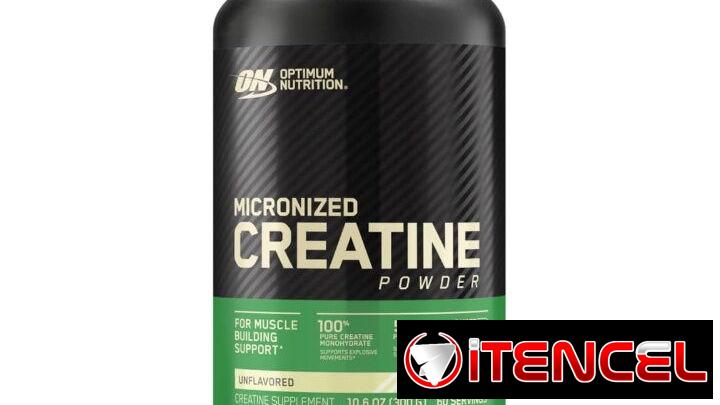 CREATINA MONOHIDRATADA OPTIMUM NUTRITION ON