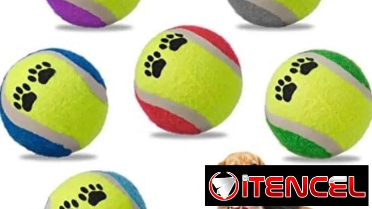 🐶 Pelota para perros 🐕🥎