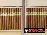 Venta de tabacos cohiba
